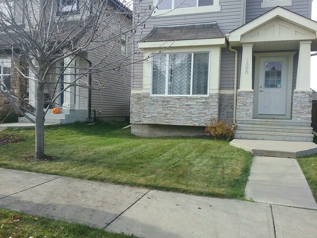 Power Rake Services by On The Go Lawn and Snow. On Demand Lawn Care