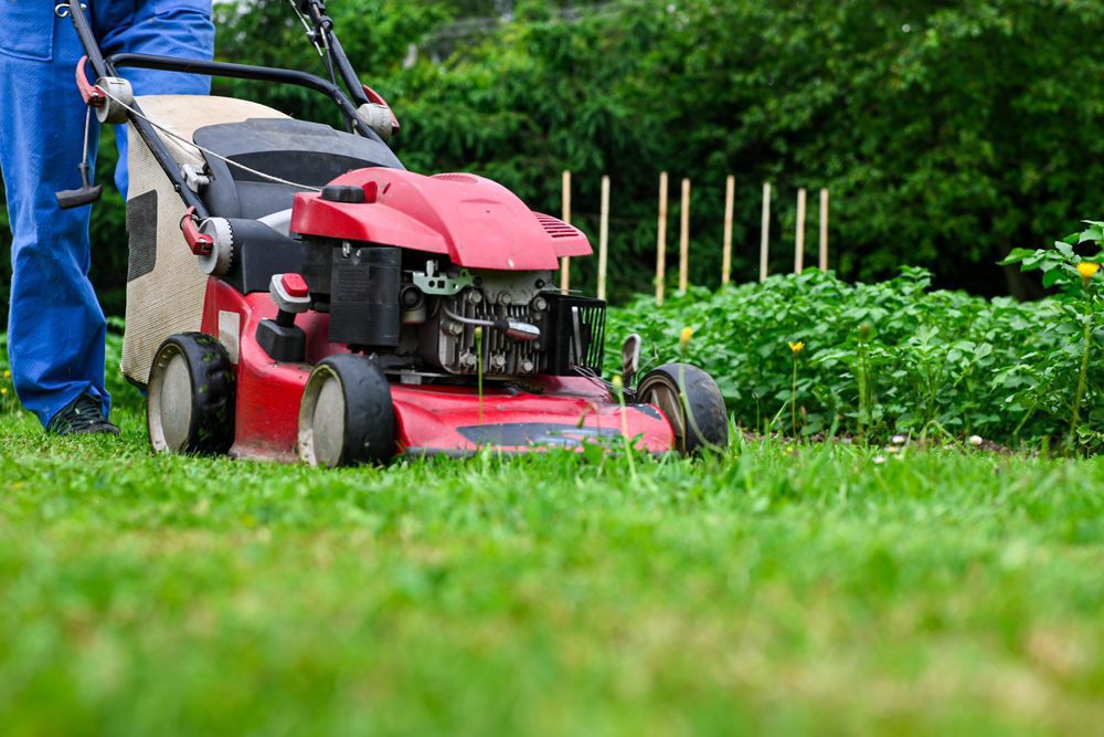 Lawn Mowing Services by On The Go Lawn and Snow. Servicing Edmonton and Calgary