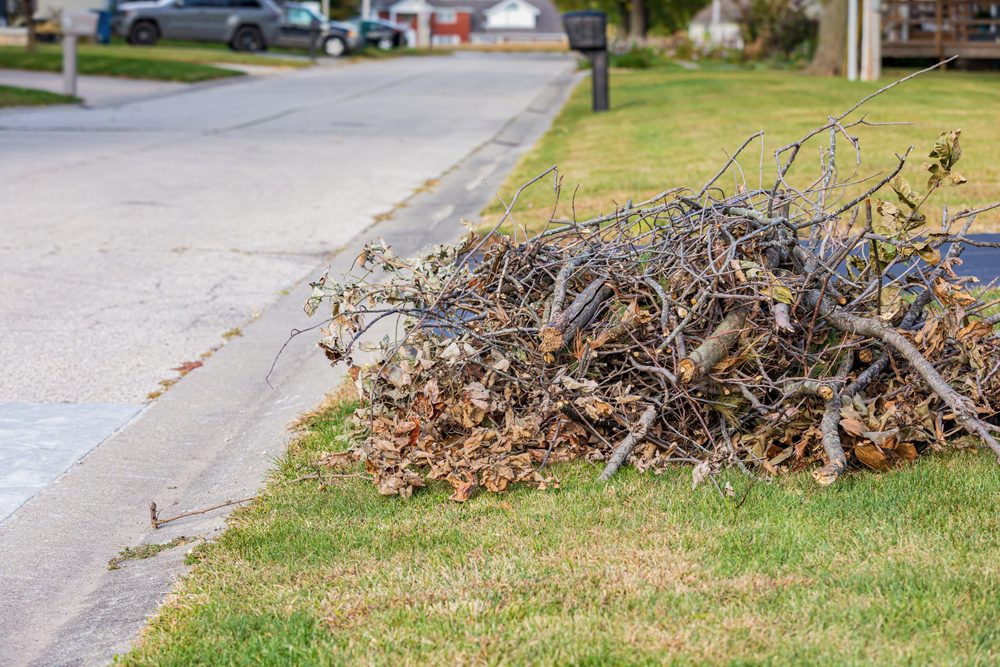 Fall Cleanup Services by On The Go Lawn and Snow. Servicing Edmonton and Calgary